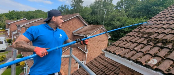 2. SAFE MOSS REMOVAL SCRAPE