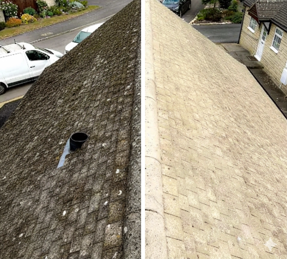 A clean residential roof after professional cleaning services